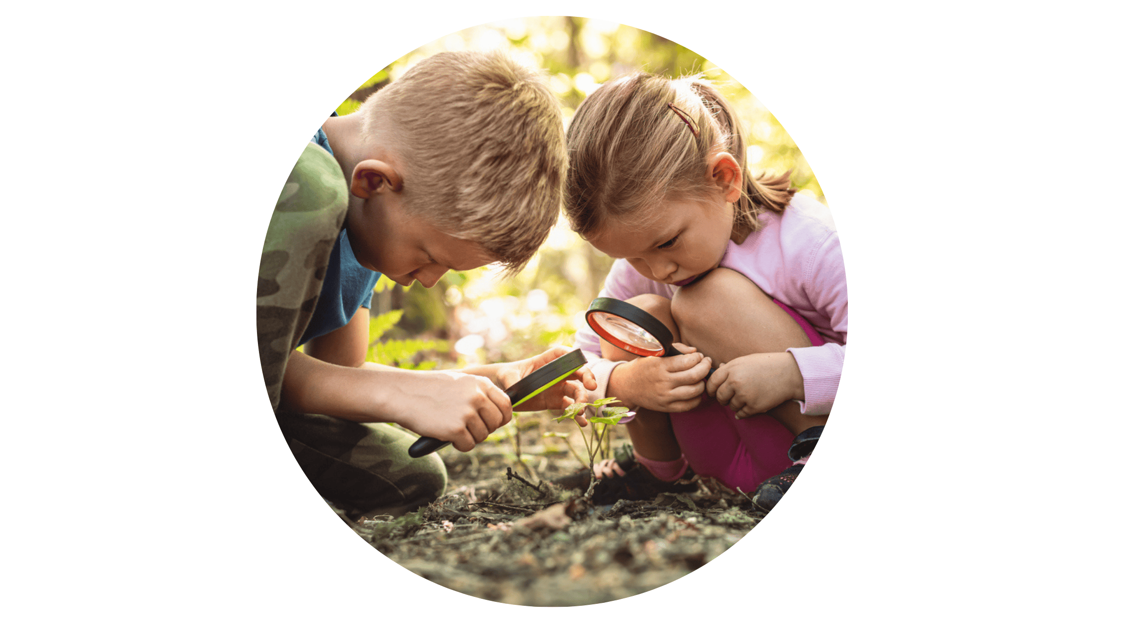 Communication and Language