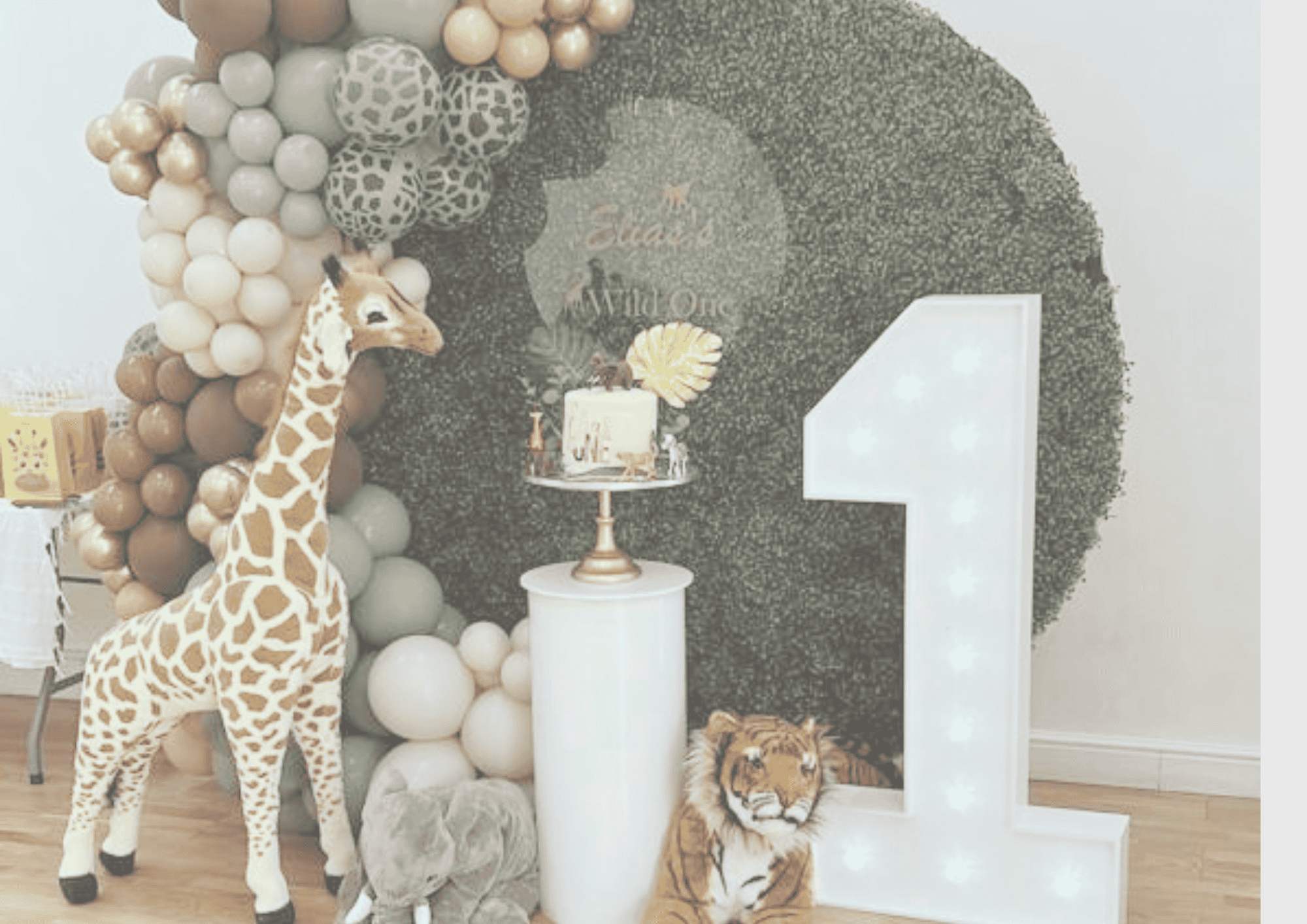 Hall Hire Packages Original TODDLER THEMED PACKAGES