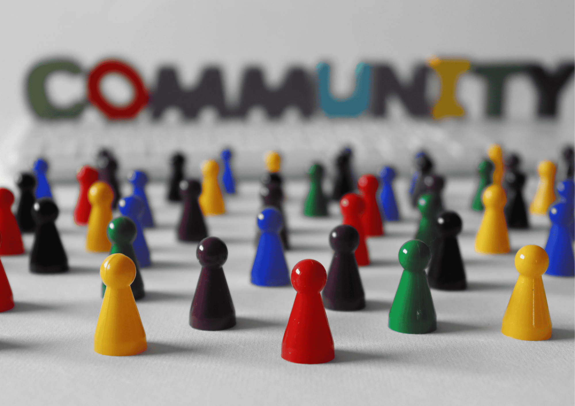 COMMUNITY PARTNER